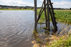 53077350790_d6926fd0e0_c