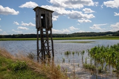 53077442038_f1c495130a_c