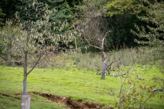 53091046874_83d6250859_c