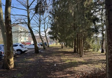 Na pobudo Mestne četrti Dečkovo naselje nova peš pot na območju naselja Pod Gabri, Celje, Savinjska regija